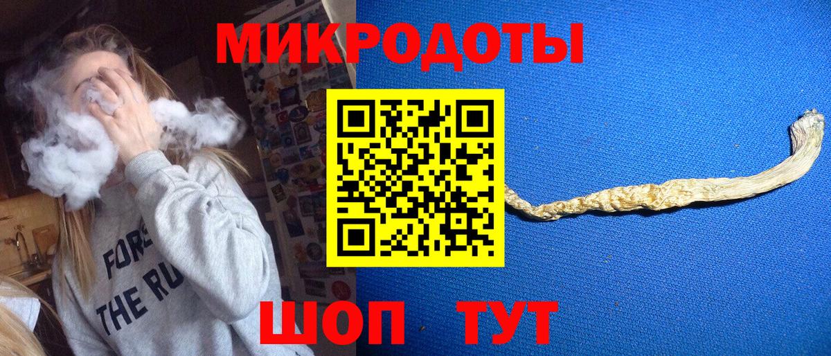 Костомукша  Галлюциногенные грибы Cubensis  что такое наркотик  Вход с VPN 